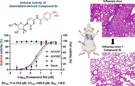 吉西他滨衍生物对流感病毒和严重急性呼吸综合征冠状病毒2的抗病毒活性评价acs Infectious Diseases X Mol