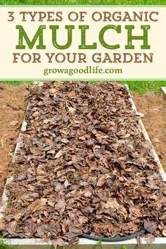 Gardening Organic Regenerative Guides And Tips Ideas In