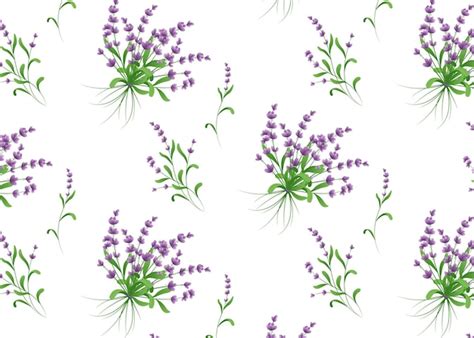 Premium Vector Vector Lavender Seamless Pattern