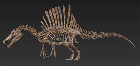 Artstation Spinosaurus 2018 Byvitamin Imagination Vitamin