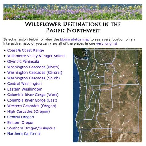 Pacific Northwest Wildflowers Wildflower Hikes And Destinations In