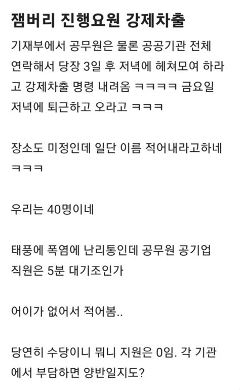 정부 잼버리 콘서트에 공공기관 지원 인력 요청강제차출 비판도 디지털타임스