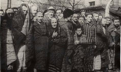 Veja fotos do campo de Auschwitz após a libertação de prisioneiros em