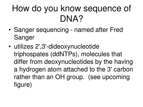 Ppt Genetics And Recombinant Dna Powerpoint Presentation Free Download Id 3892572