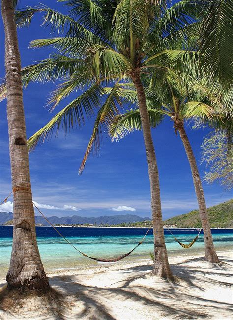 Banana Island, Coron | Vacation places, Places to travel, World most ...