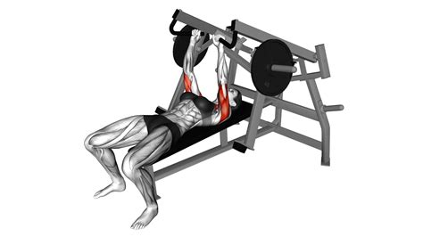 Plate Loaded Lever Lying Chest Press Female Video Guide And Tips