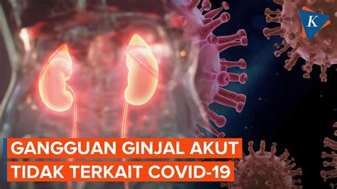 Berita Harian Gangguan Ginjal Tak Terkait Covid 19 Terbaru Hari Ini