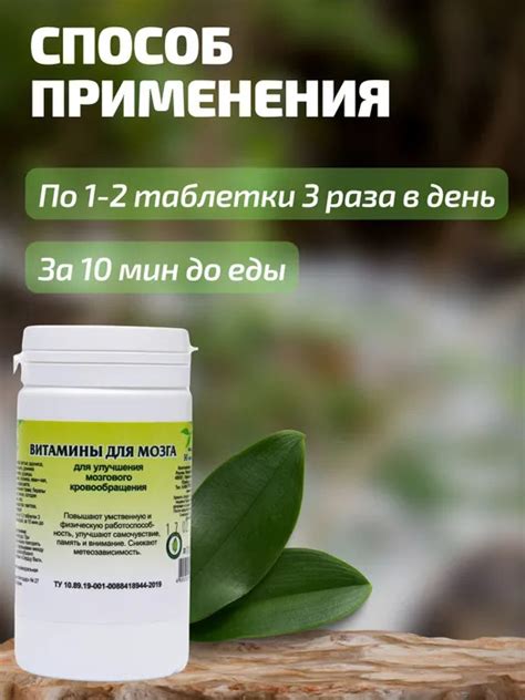 Витамины «Для мозга» — Травник Гордеев
