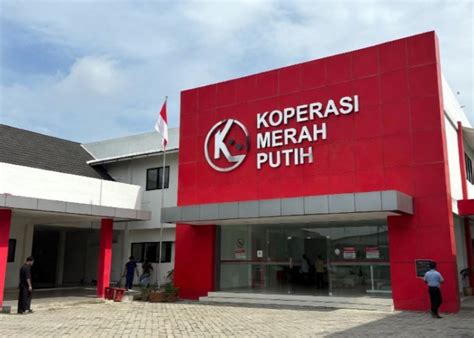 cek status keanggotaan koperasi merah putih melalui kdmp mobile