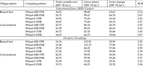 Economic Productivity Of Different Rice Wheat Cropping Systems Under Download Scientific