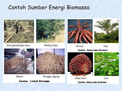 Energi Alternatif Biomassa Sinau