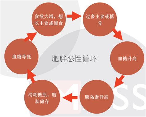 如何才能科学减肥？ 知乎