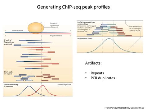 PPT ChIP Seq And Related Applications PowerPoint Presentation Free