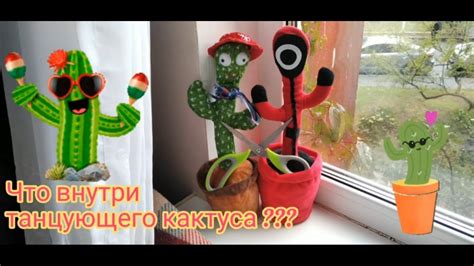 Обзор " Что внутри танцующего кактуса" - YouTube