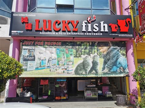 craigslist pets kc 3