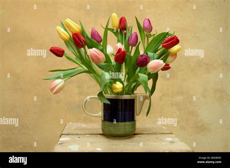 bouquet of tulips Stock Photo - Alamy