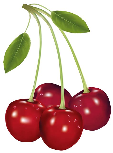 three cherries with green leaves hanging from the stems on a white ...