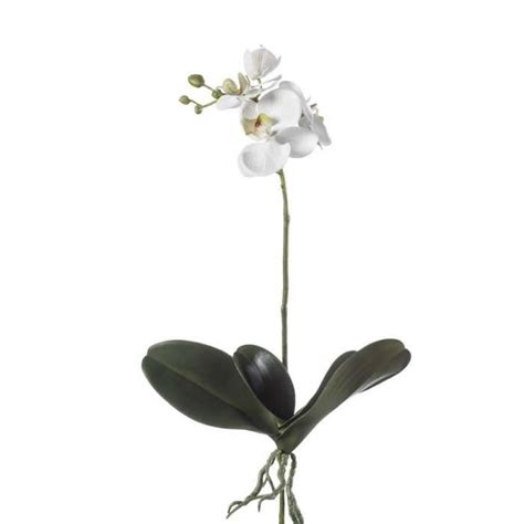 Artplants De Orchid E Phalaenopsis Artificielle Fao Sur Piquet Blanc