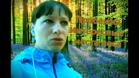 Пробежка в интересных местах леса - YouTube
