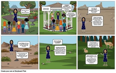 Primary Succession Comic Strip