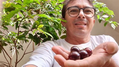 JABUTICABA PRODUZ EM 40 DIAS SUPER ADUBO QUE EU USO