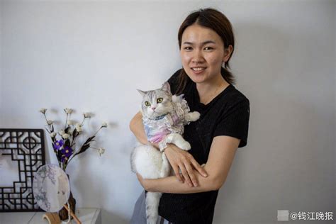 90后北漂女孩辞职返乡创业，给猫做汉服月入7万 搜狐大视野 搜狐新闻