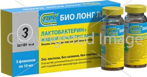 Лактобактерин+ концентрат жидкий 10 мл фл 5 шт