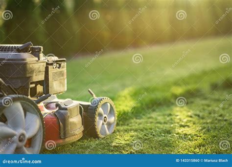 Cortador De Grama Que Corta A Grama Verde Foto De Stock Imagem De