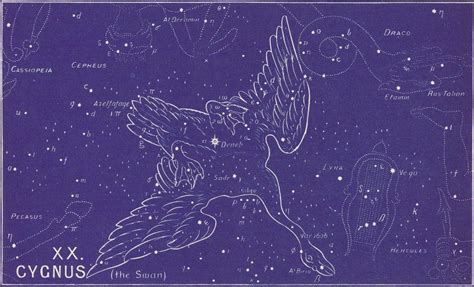 Cygnus Constellation Meaning – Astrology King