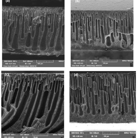 B Sem Images From The Cross Section Morphology Of Nh Mil Ti Psf