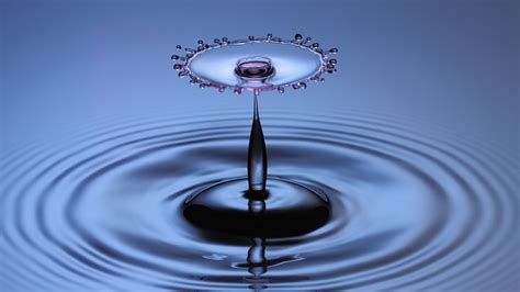 Water droplet HD wallpaper | Wallpaper Flare