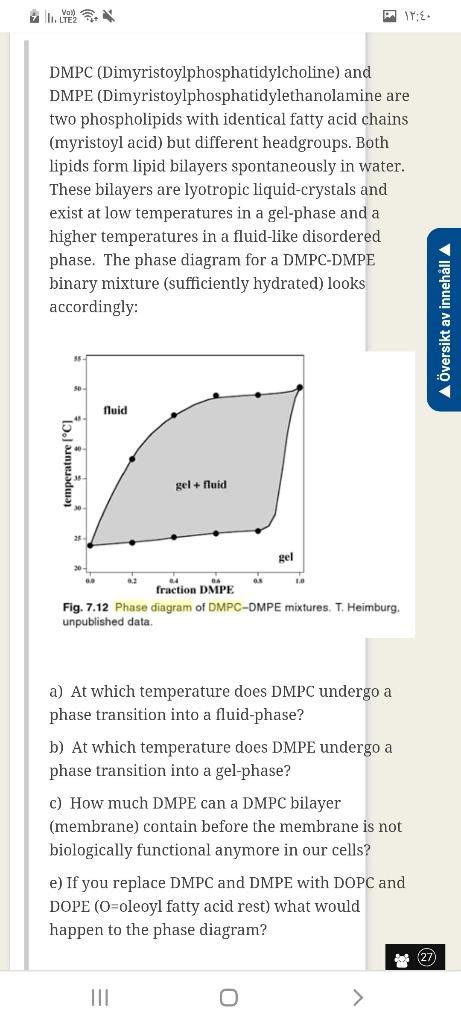 Solved Binary phase diagram. I need an explanation of this | Chegg.com 