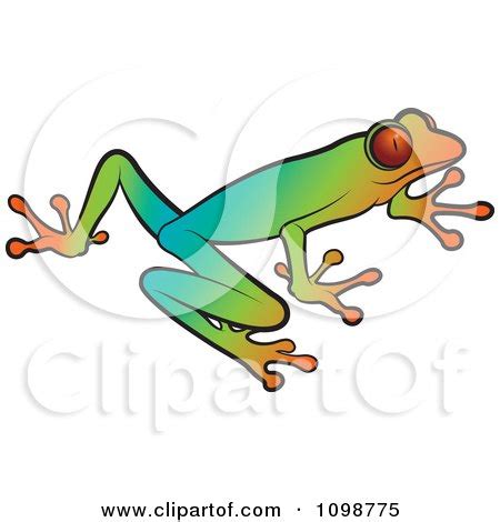 Clipart Colorful Poison Dart Frog Royalty Free Vector Illustration By