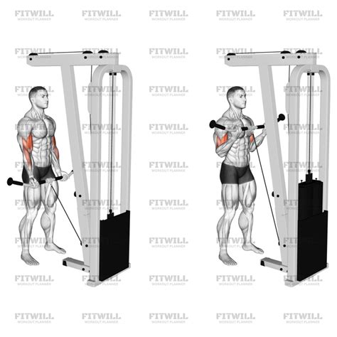 Ultimate Cable Arm Workout: Build Bigger Biceps & Triceps | Workout ...