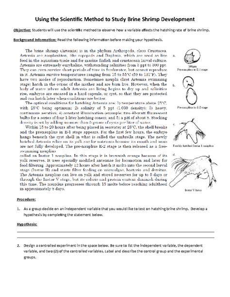Lab - Brine Shrimp Experiment Design and Observation Guide - Studocu