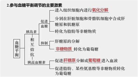 高中生物苏教版 2019选择性必修1 稳态与调节第二章 人体内环境与稳态第二节 血糖平衡的调节优秀ppt课件 教习网课件下载