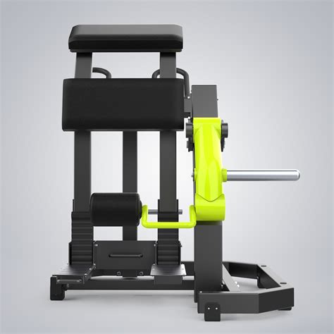 Wholesale Standing Leg Curl Y955z Manufacturer And Supplier Dhz