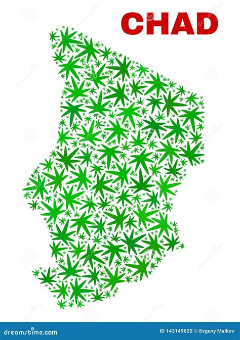 Cannabis Leaves Mosaic Chad Map Stock Vector Illustration Of