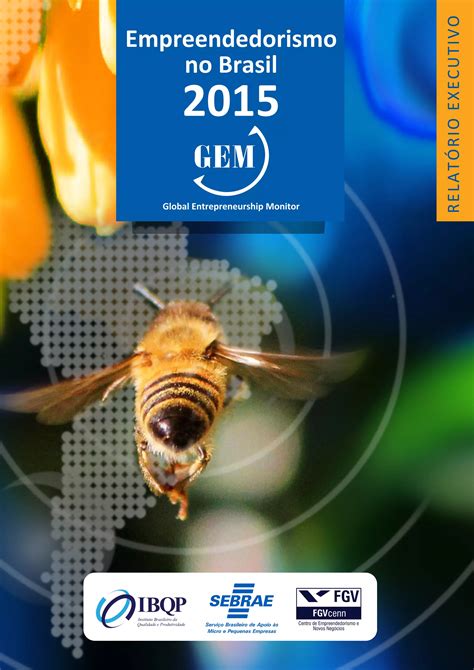 Empreendedorismo No Brasil GEM 2015 PDF