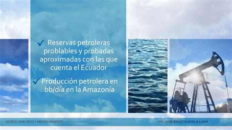 Reservas petroleras de Ecuador Producción petrolera en la Amazonia