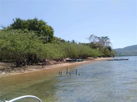 Beachfront For Sale In Decabobo Coron Palawan