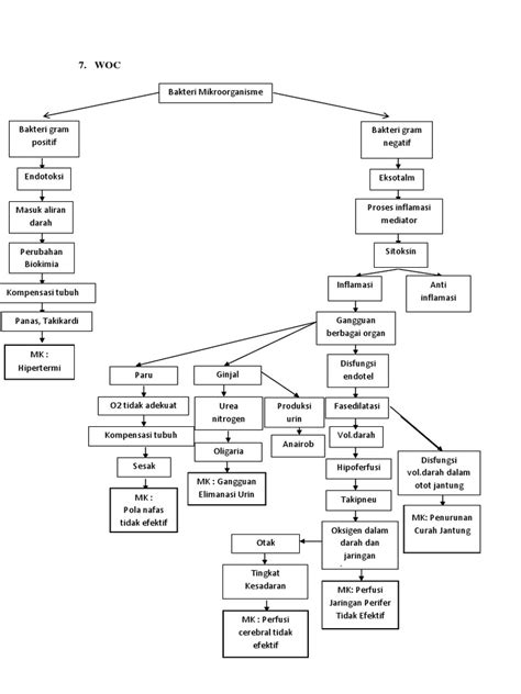 Woc Sepsis Pdf