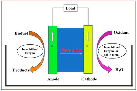 Applied Sciences Free Full Text Research Progresses And Application Of Biofuel Cells Based