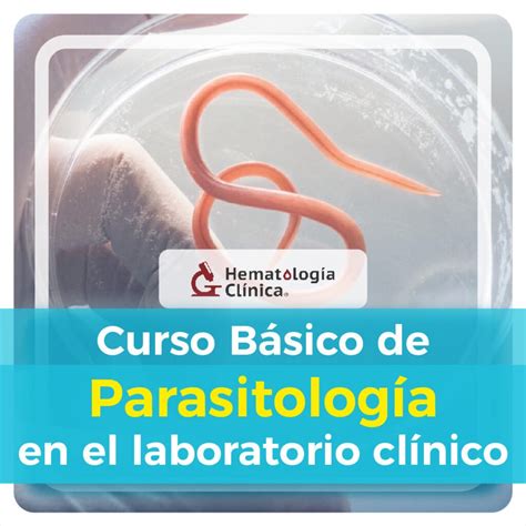 Curso Básico De Parasitología En El Laboratorio Clínico Julio 2024 Hematología Clínica