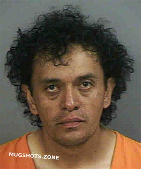 TORRESFLORES LUIZ M 05 03 2023 Collier County Mugshots Zone