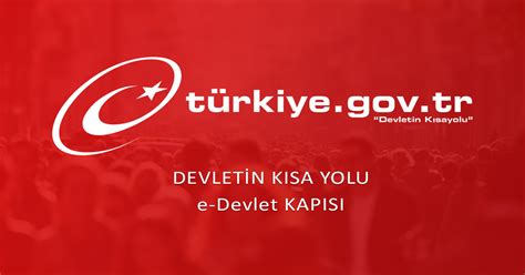 E Devlet Ten Engelliler In Yeni Hizmet Webtekno