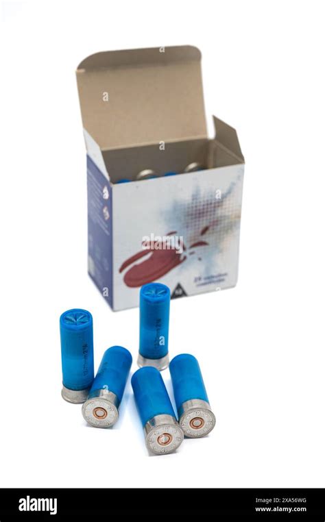 Detail Of 12 Gauge Shotgun Shells On White Background Blue Shot