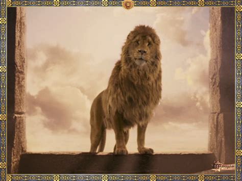 ASLAN - Aslan Wallpaper (20645369) - Fanpop