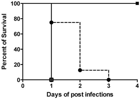 Molecules | Free Full-Text | Efficacy of ARV-1502, a Proline-Rich ...