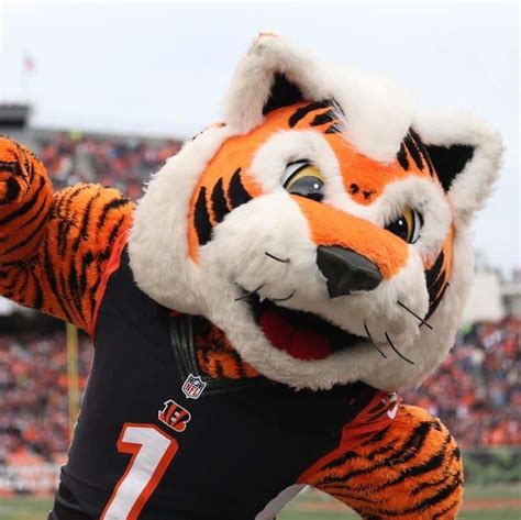 Who Dey | Mascot Hall of Fame